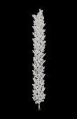 Zircon Stone Hair Accessories Models Design Wedding Henna Engagement Bride						