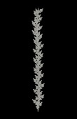 Zircon Stone Hair Accessories Models Design Wedding Henna Engagement Bride						