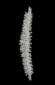 Zircon Stone Hair Accessories Models Design Wedding Henna Engagement Bride						