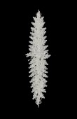 Zircon Stone Hair Accessory Models Hair Band Beaded Henna Wedding