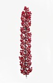 Crystal Stone Hair Accessories Models Wedding Henna Engagement Bride