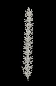 Crystal Stone Hair Accessories Models Wedding Henna Engagement Bride