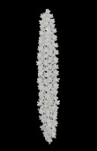 Zircon Stone Hair Accessories Models Design Wedding Henna Engagement Bride						
