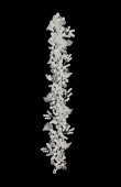 Crystal Stone Hair Accessories Models Wedding Henna Engagement Bride