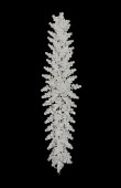 Henna Crown Bridal Red Dress Bindallı Special Design