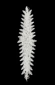Zircon Stone Hair Accessories Models Design Wedding Henna Engagement Bride						