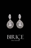 Zircon Stone Earrings Engagement Wedding Design Henna Stylish Earring Models