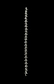 Zircon Stone Hair Accessories Models Design Wedding Henna Engagement Bride						