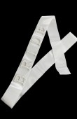 bridal sash bridal party decorations bride to be decorations party time