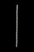 Zircon Stone Hair Accessories Models Design Wedding Henna Engagement Bride						