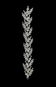 Zircon Stone Hair Accessories Models Design Wedding Henna Engagement Bride						