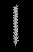 Zircon Stone Hair Accessories Models Design Wedding Henna Engagement Bride						