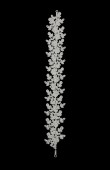 Zircon Stone Hair Accessories Models Design Wedding Henna Engagement Bride						