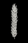 Zircon Stone Hair Accessories Models Design Wedding Henna Engagement Bride						
