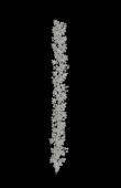 Bridal Crown Accessories Models Wedding Dress White Dress