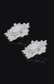 Zircon Stone Earrings Engagement Wedding Design Henna Earring Models Stylish Earrings