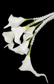 Bridal Bouquet Flower Models Wedding Henna Engagement Bride