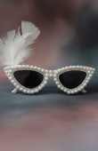 Party glasses, bride to be party decorations, birthday