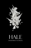 Crystal Stone Hair Accessories Models Wedding Engagement hair comb