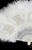 Bride fan Bride written fan Stone fan Party fan