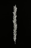 Zircon Stone Hair Accessories Models Design Wedding Henna Engagement Bride						