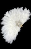Bride fan Bride written fan Stone fan Party fan