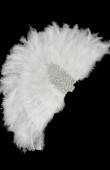 Bride fan Bride written fan Stone fan Party fan