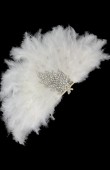 Bride fan Bride written fan Stone fan Party fan