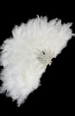 Bride fan Bride written fan Stone fan Party fan