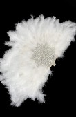 Bride fan Bride written fan Stone fan Party fan