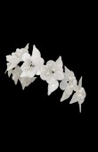 Crystal Stone Hair Accessories Models Wedding Engagement hair comb