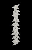 Crystal Stone Hair Accessories Models Wedding Engagement hair comb