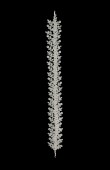 Zircon Stone Hair Accessories Models Design Wedding Henna Engagement Bride						