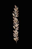 Zircon Stone Hair Accessories Models Wedding Henna Engagement Bride						