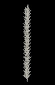 Zircon Stone Hair Accessories Models Design Wedding Henna Engagement Bride						