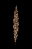 Zircon Stone Hair Accessories Models Design Wedding Henna Engagement Bride						