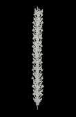 Zircon Stone Hair Accessories Models Wedding Henna Engagement Bride						