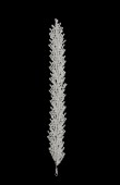 Zircon Stone Hair Accessories Models Design Wedding Henna Engagement Bride						
