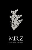 Bridal Hair Accessories Models Special Design Wedding Hair Crown hair comp