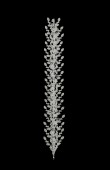 Crystal Stone Hair Accessories Models Wedding Henna Engagement Bride