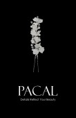 Crystal Stone Hair Accessories Models Wedding Engagement hair comb