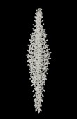 Zircon Stone Hair Accessories Models Design Wedding Henna Engagement Bride						