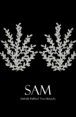 Zircon Stone Hair Accessories Models Wedding Henna Engagement Bride hair comb