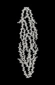 ircon Stone Hair Accessories Models Design Wedding Henna Engagement Bride	