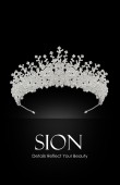 Bridal Crown Models Elegant Bridal Crowns Special Design Wedding Crown