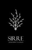 Zircon Stone Hair Accessories Models Wedding Henna Engagement Bride hair comb