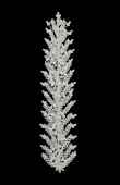 Zircon Stone Hair Accessories Models Design Wedding Henna Engagement Bride						