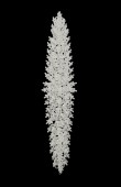 Zircon Stone Hair Accessories Models Design Wedding Henna Engagement Bride						