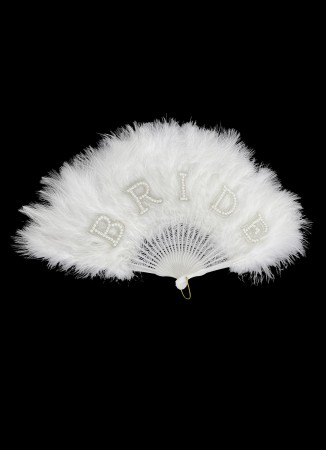 Bride fan Bride written fan Stone fan Party fan