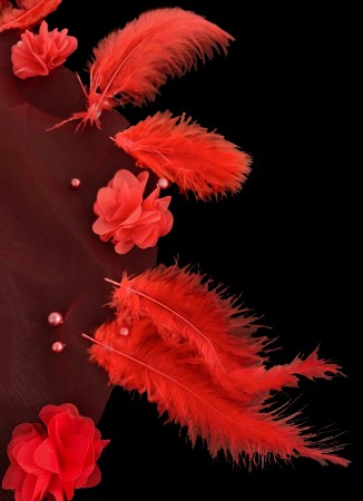 Feathered and Stoned Bridal Halay Handkerchief Chiffon Laser Flowered Bridal Halay Handkerchief
